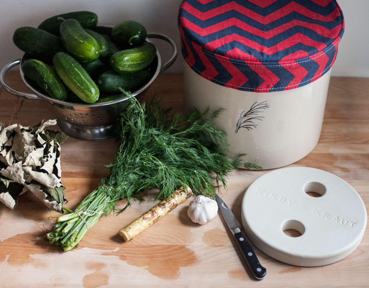 Making kosher dill pickles
