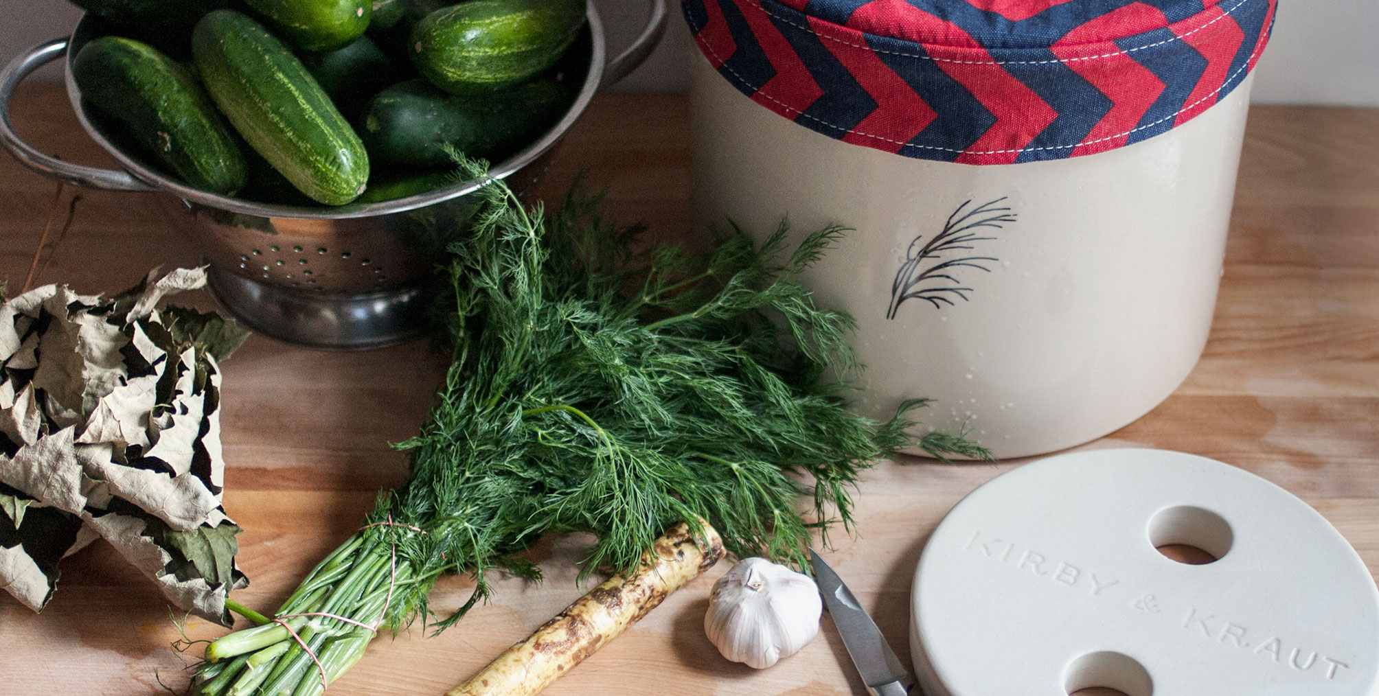 Pickle Log Kosher dill pickles with garlic and horseradish Kirby & Kraut