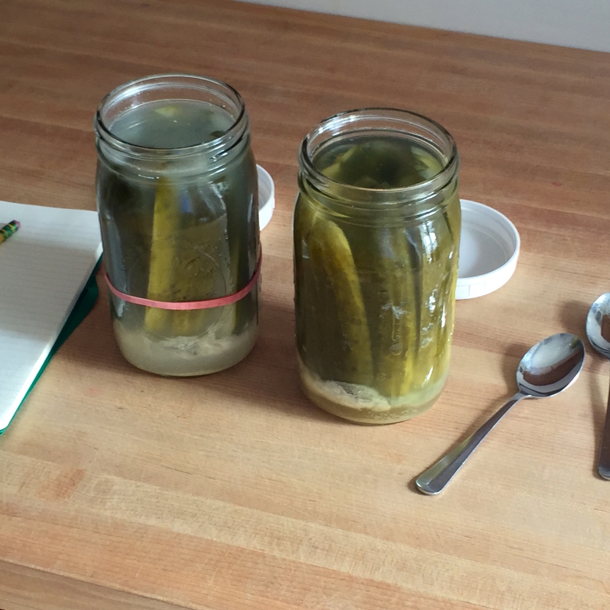 Pickle Log Head to head fermented pickle test priming the brine