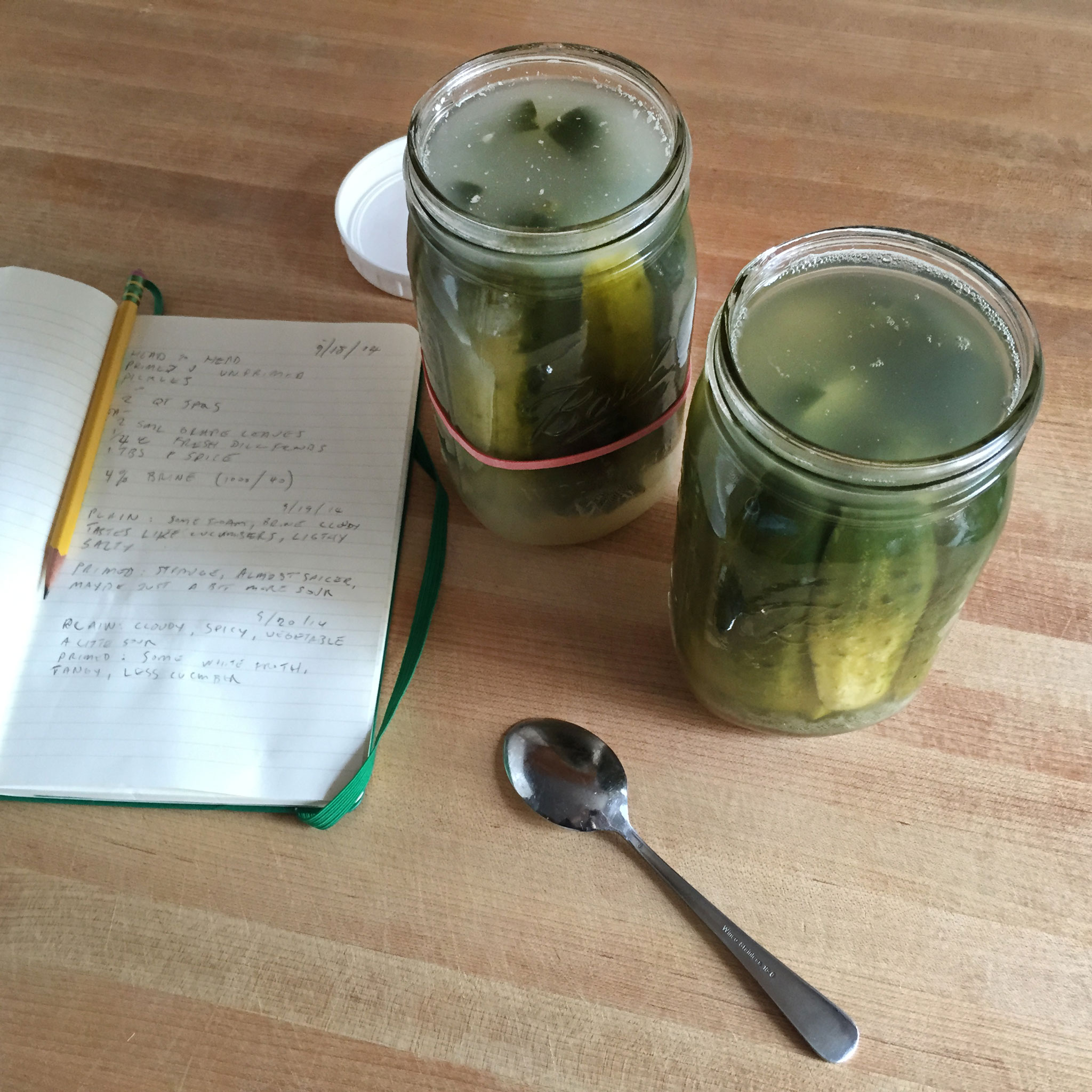 Tasting pickle brine Kirby & Kraut