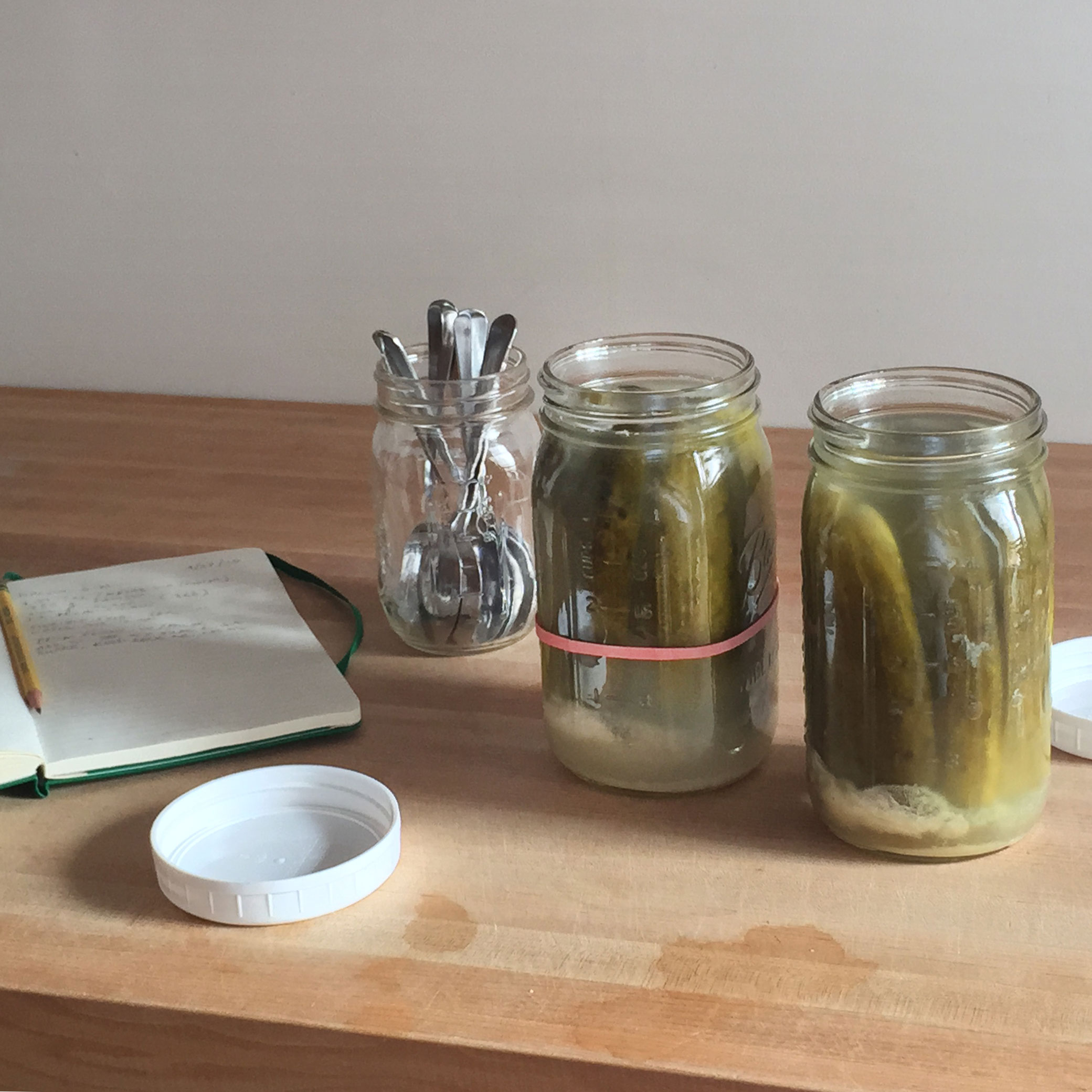 Tasting head to head pickles Kirby & Kraut