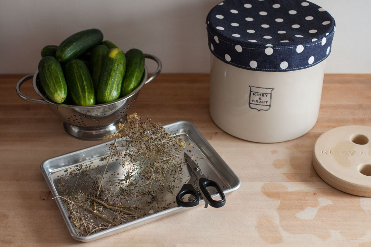 Making kosher dill pickles