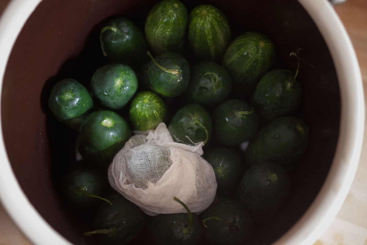 Pickles packed into a crock